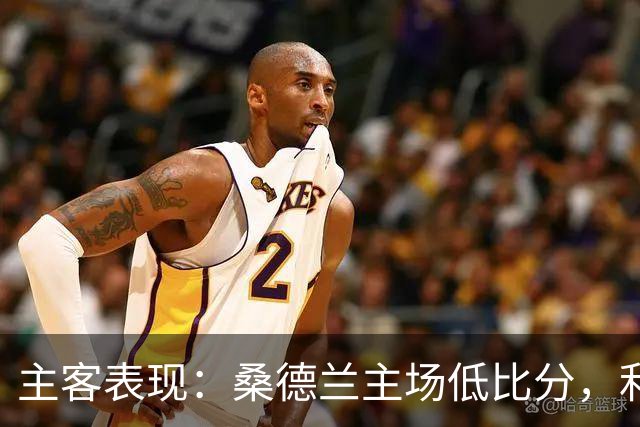 主客表现：桑德兰主场低比分，利兹联客场起伏