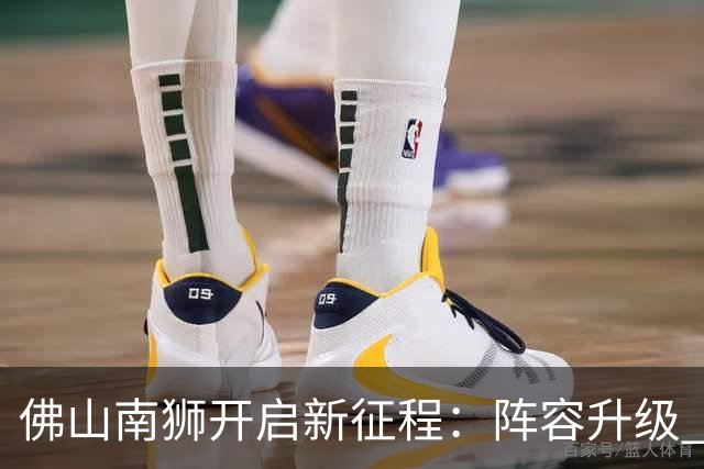 佛山南狮开启新征程：阵容升级 目标中甲前八