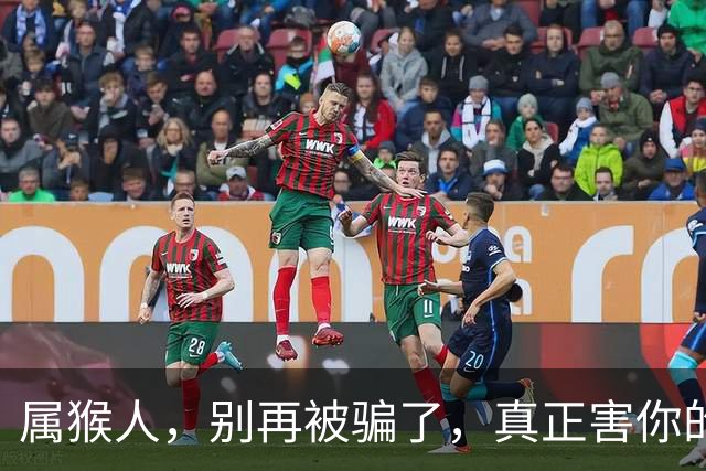 属猴人，别再被骗了，真正害你的人是这两个人