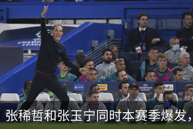 张稀哲和张玉宁同时本赛季爆发，必须感谢这位大佬，值得期待