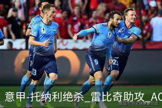 意甲-托纳利绝杀 雷比奇助攻 AC米兰2-1夺3连胜