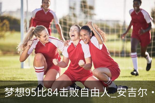 梦想95比84击败自由人 安吉尔·里斯14投7中得到18分10板2助1帽