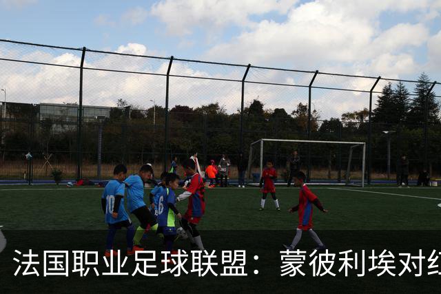 法国职业足球联盟：蒙彼利埃对红星因抗议活动改至10月26日