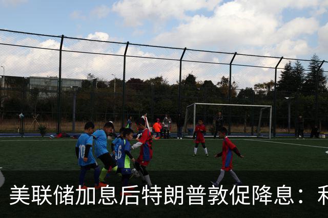美联储加息后特朗普敦促降息：利率应当降至1%或更低，“因为美国拥有世界上的最佳信用”，沙特、阿联酋、卡塔尔等海湾多国跟随加息