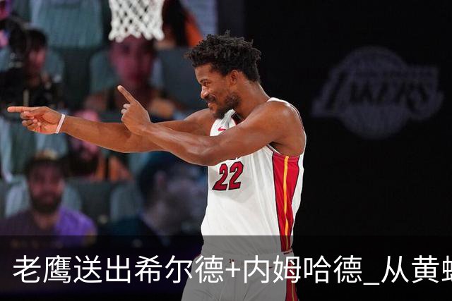 老鹰送出希尔德+内姆哈德 从黄蜂得到芬尼-史密斯