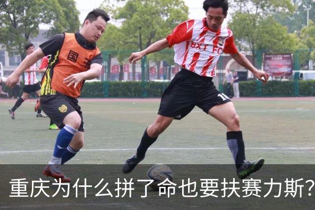 重庆为什么拼了命也要扶赛力斯？这笔账，比你想的更狠