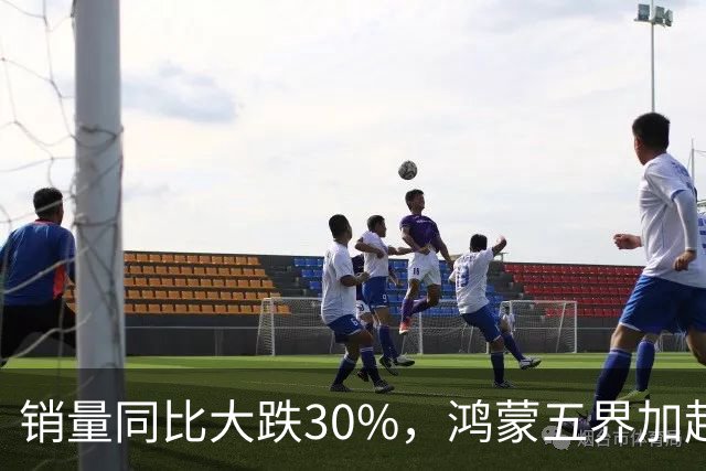 销量同比大跌30%，鸿蒙五界加起来干不过小米汽车，问界“分手”所致？