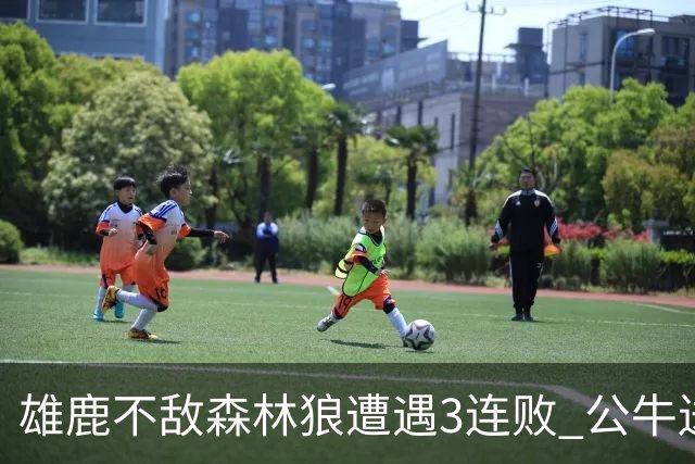 雄鹿不敌森林狼遭遇3连败 公牛送灰熊7连败