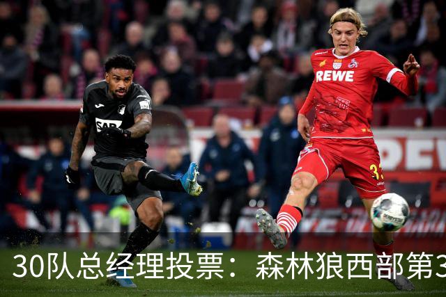 30队总经理投票：森林狼西部第3，却又被选为最难预测