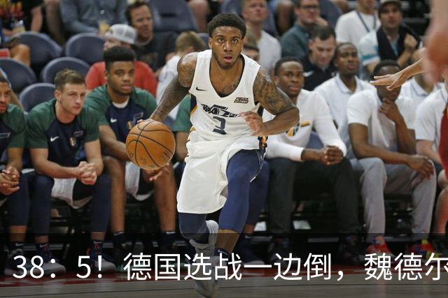 38：5！德国选战一边倒，魏德尔压倒性大胜，中德走向迎来新拐点